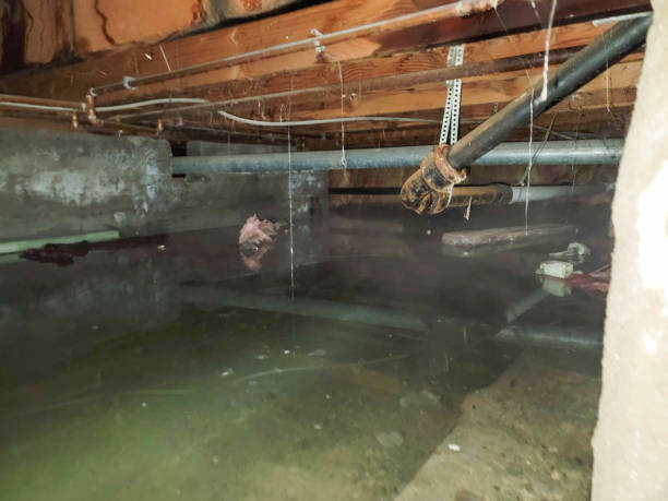  Mechanicsburg, OH Water damage restoration Pros