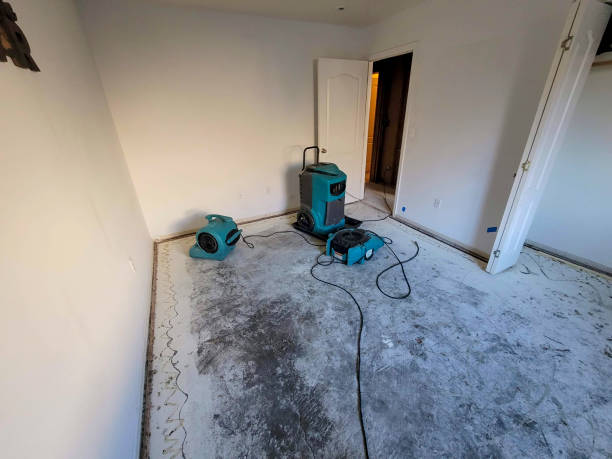 Best Commercial water damage restoration  in Mechanicsburg, OH