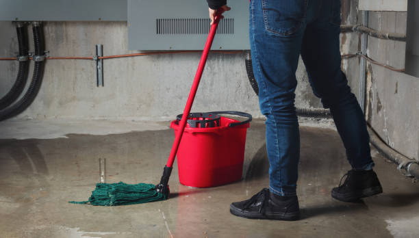 Best Water damage cleanup near me  in Mechanicsburg, OH